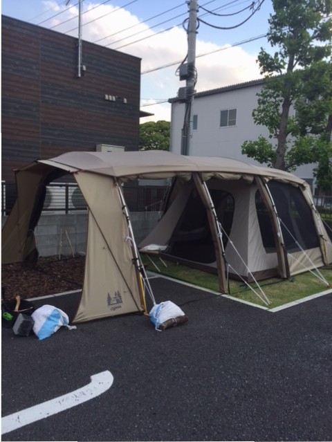 IMG_5896-apollon-keppin-5-h30-5-24