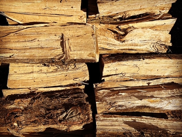 3CF57308-7A99-4534-8332-55F9F37428A8