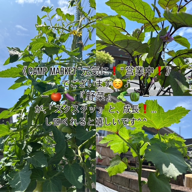 3EC97655-9401-4B68-9C26-E70F8E4444E4