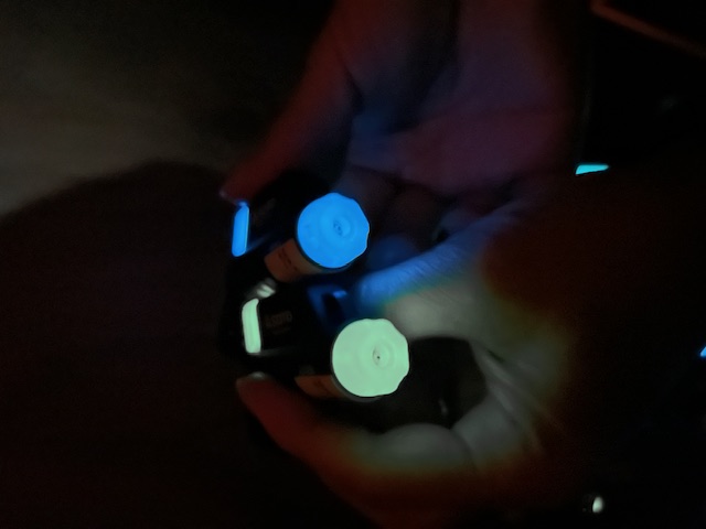 IMG_2013 - コピー