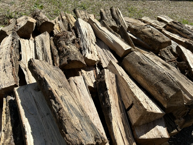 IMG_8197